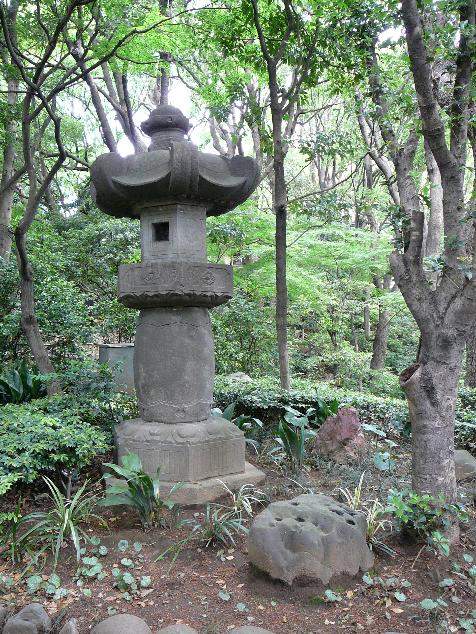 P1000799